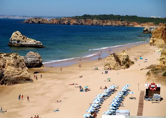 아파트 Encosta Da Marina - Da Rocha